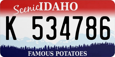 ID license plate K534786