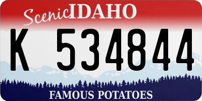 ID license plate K534844