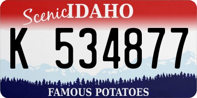 ID license plate K534877