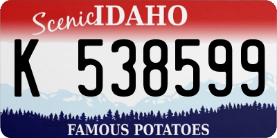 ID license plate K538599
