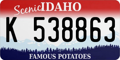 ID license plate K538863
