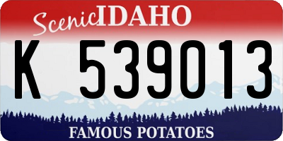 ID license plate K539013