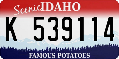 ID license plate K539114