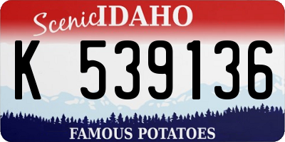 ID license plate K539136