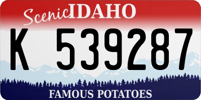 ID license plate K539287
