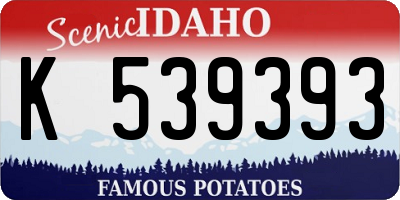 ID license plate K539393