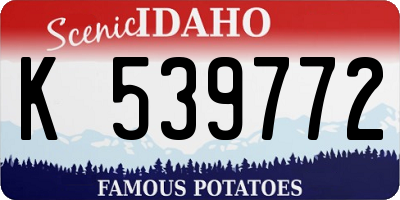 ID license plate K539772