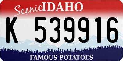 ID license plate K539916