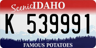 ID license plate K539991