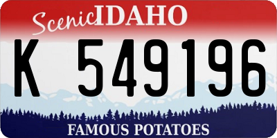 ID license plate K549196