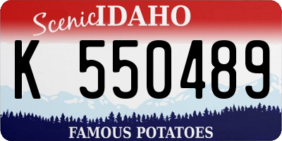 ID license plate K550489