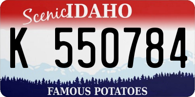 ID license plate K550784