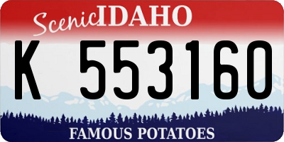ID license plate K553160