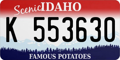 ID license plate K553630