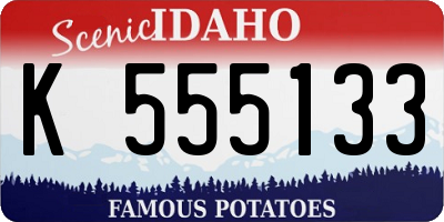 ID license plate K555133