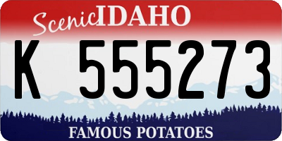ID license plate K555273