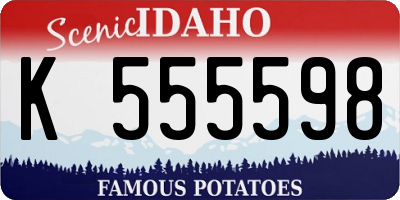 ID license plate K555598