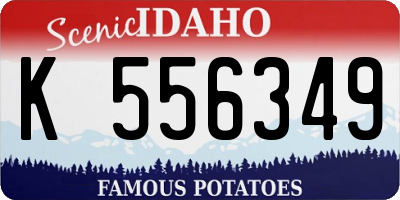ID license plate K556349