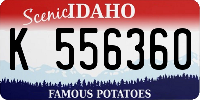 ID license plate K556360