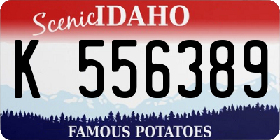 ID license plate K556389