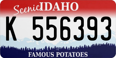 ID license plate K556393