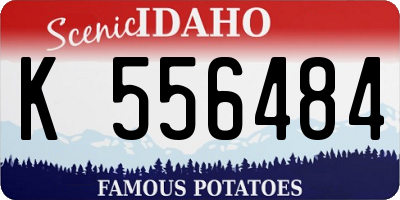 ID license plate K556484