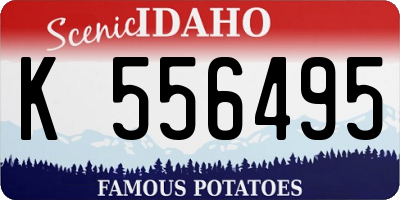 ID license plate K556495