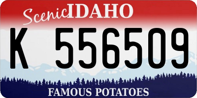 ID license plate K556509