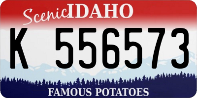 ID license plate K556573