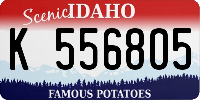 ID license plate K556805