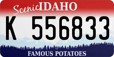 ID license plate K556833