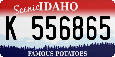 ID license plate K556865