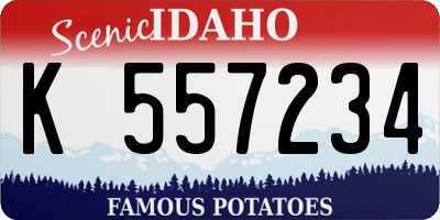 ID license plate K557234
