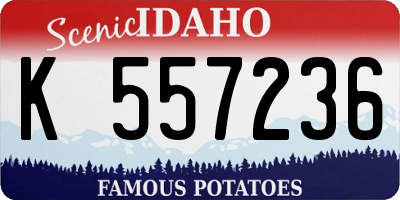 ID license plate K557236