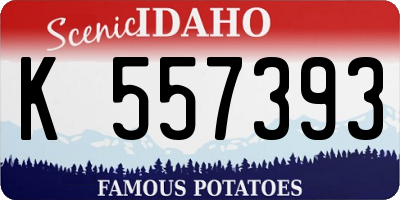 ID license plate K557393