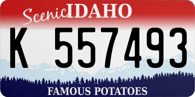 ID license plate K557493