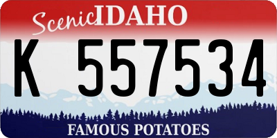 ID license plate K557534