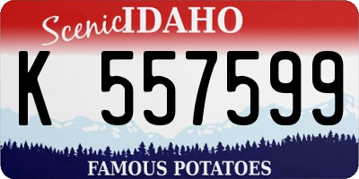 ID license plate K557599