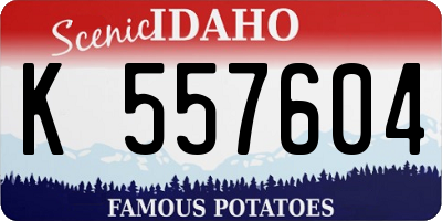 ID license plate K557604