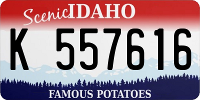 ID license plate K557616