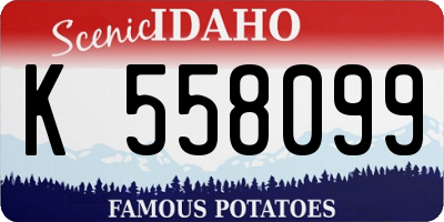 ID license plate K558099
