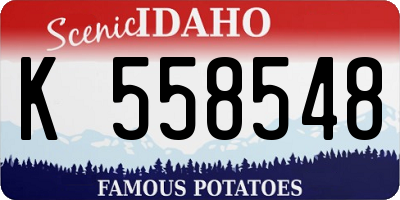 ID license plate K558548