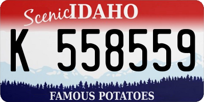 ID license plate K558559