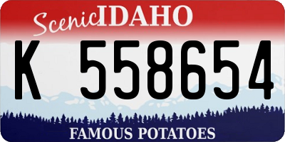 ID license plate K558654