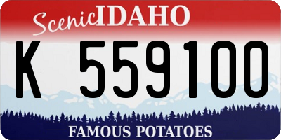 ID license plate K559100