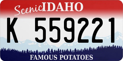 ID license plate K559221