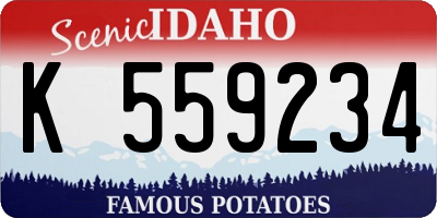 ID license plate K559234