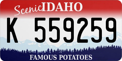 ID license plate K559259