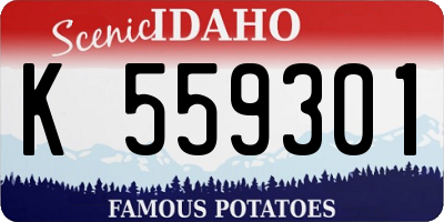 ID license plate K559301