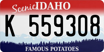 ID license plate K559308